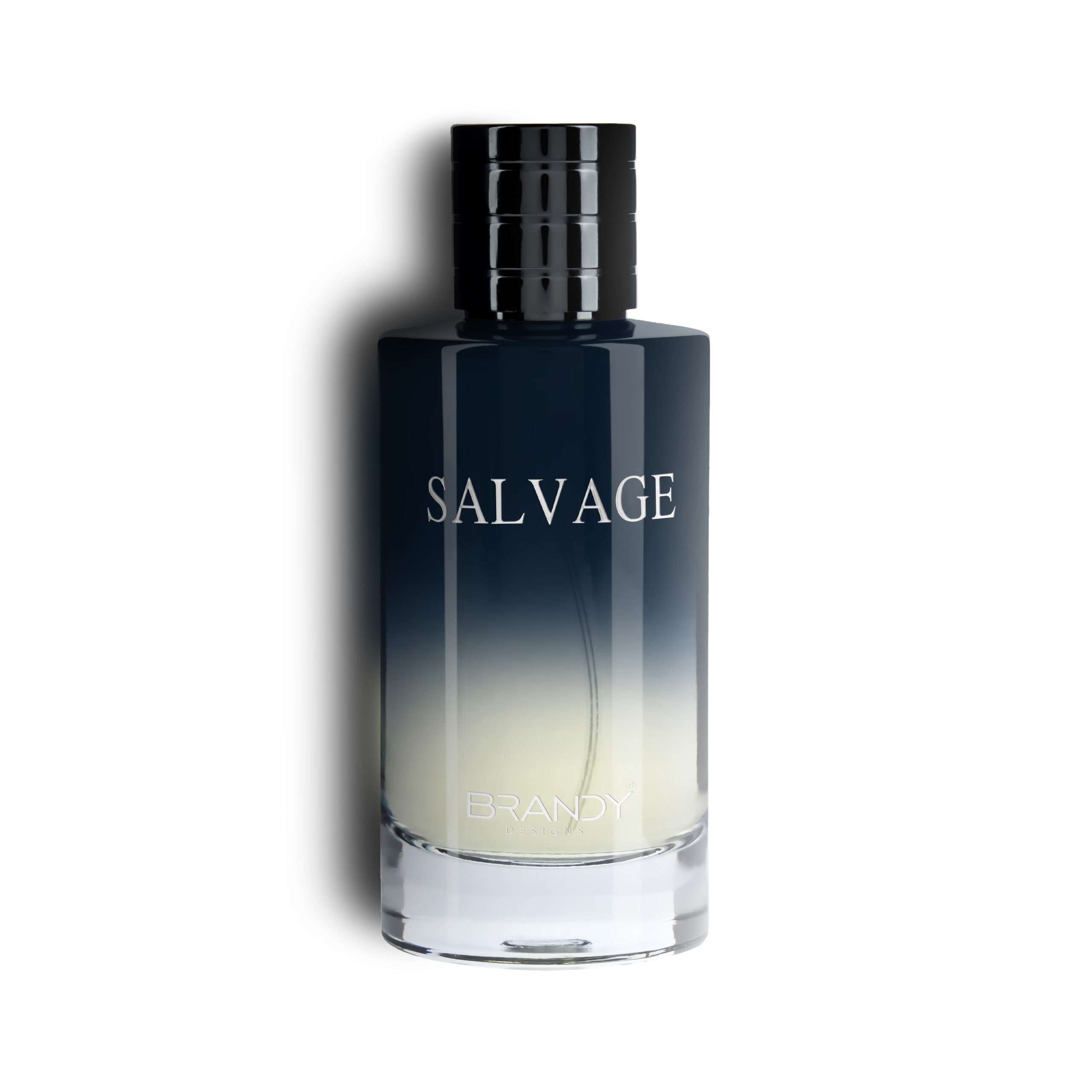 Salvage Eau De Parfum 100ML